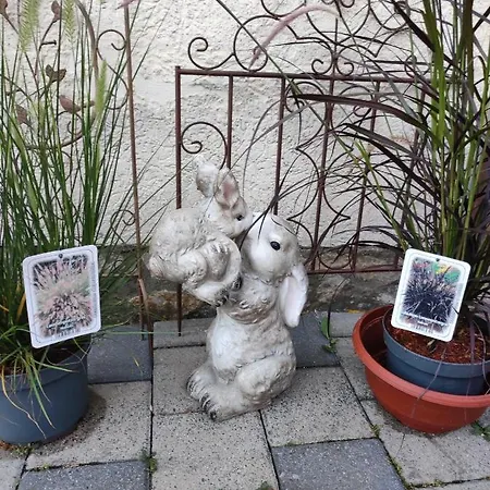 Schlosschen Apartment *